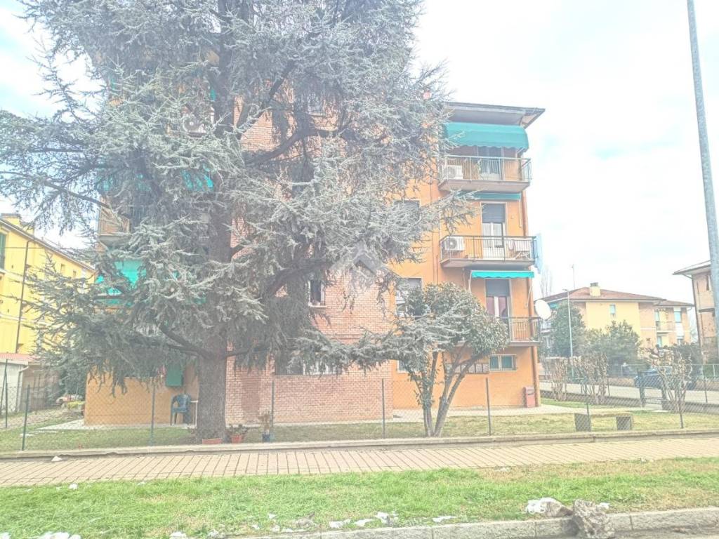 Appartamento a Molinella in Via bellini, 1 - Foto 4