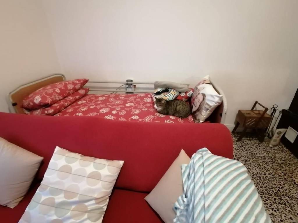 Casa indipendente a Capraia e limite in Viale Giacomo Matteotti - Foto 2
