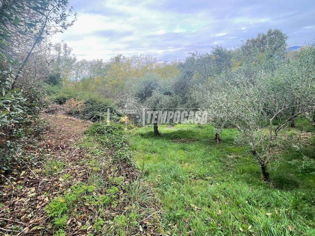 Rustico / casale a Lessona in Via A. Cerruti - Foto 2