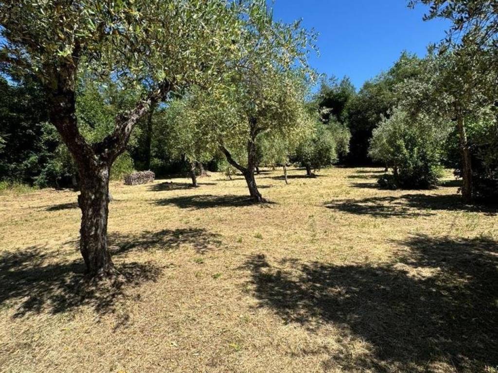 Casa indipendente a Tuoro sul trasimeno in Via Vernazzano Basso, snc - Foto 5