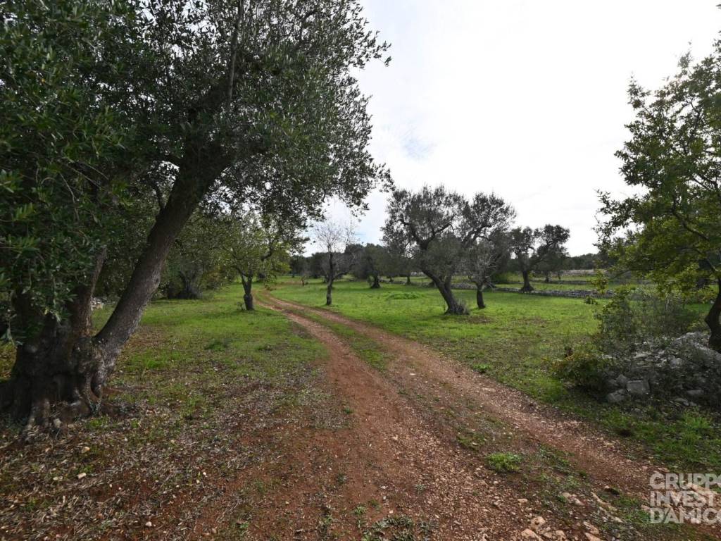 Terreno a Ostuni in Contrada Pascarosa - Foto 4