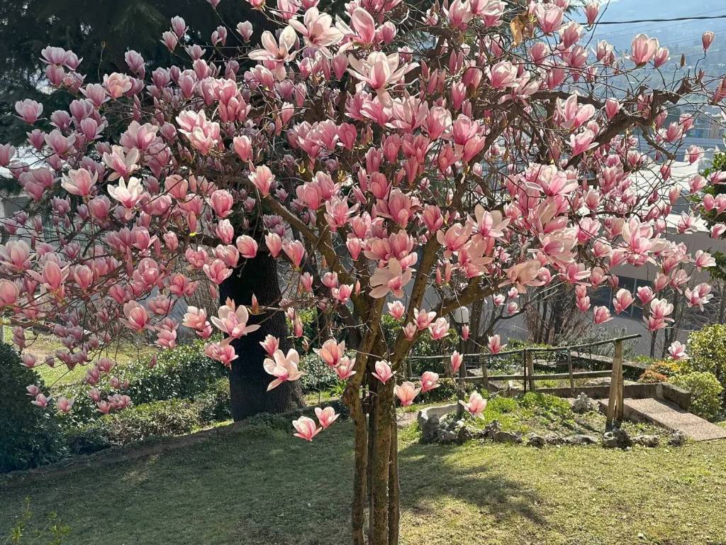Villa a Chiampo - Foto 2