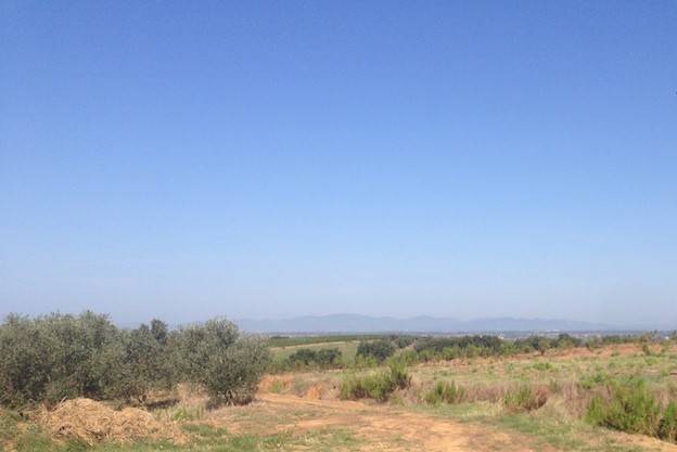 Rustico / casale a Magliano in toscana in Cupi - Foto 5