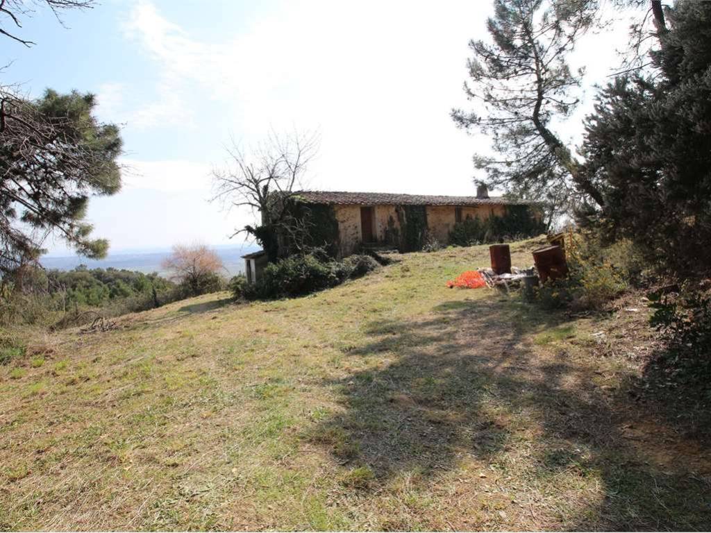 Rustico / casale a Buti - Foto 4