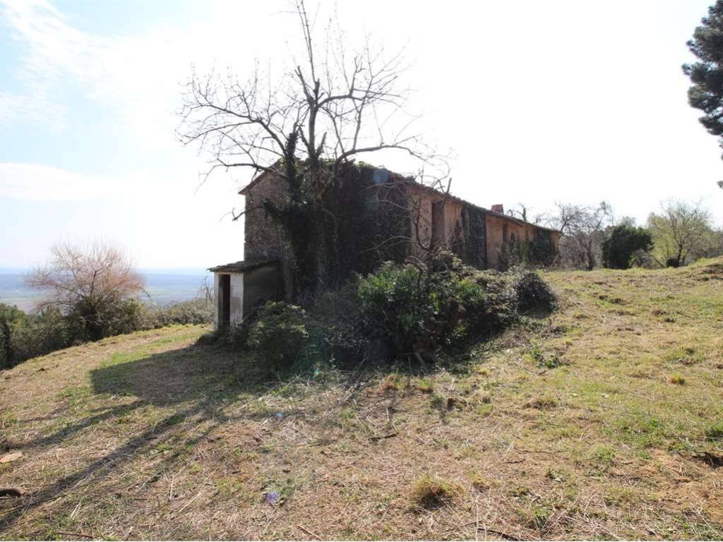 Rustico / casale a Buti - Foto 5