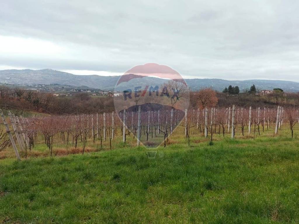 Casa indipendente a Calvi in Via Mirra piano Colonna n. SNC - Foto 2