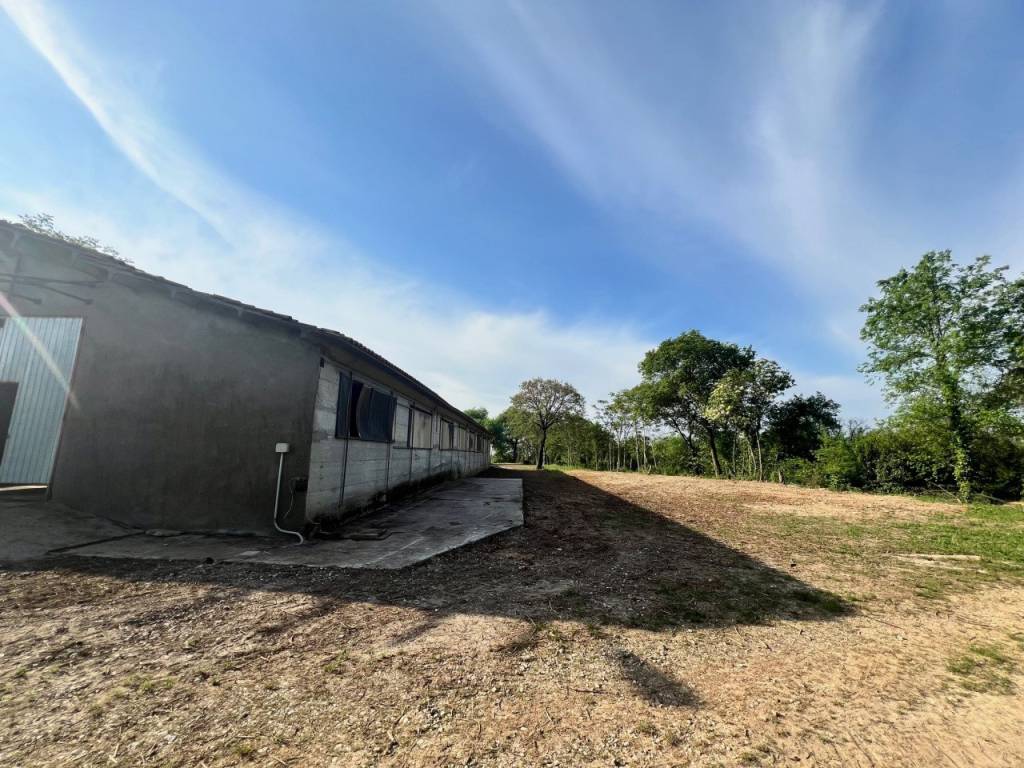 Immobile a Alonte - Foto 3