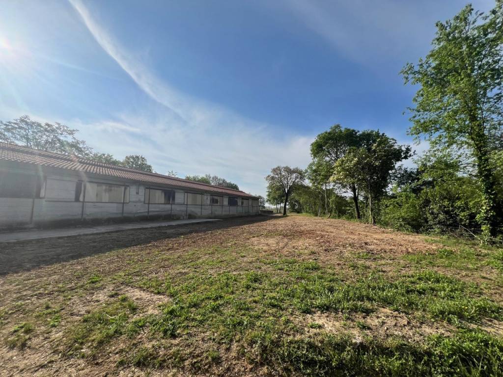 Immobile a Alonte - Foto 4