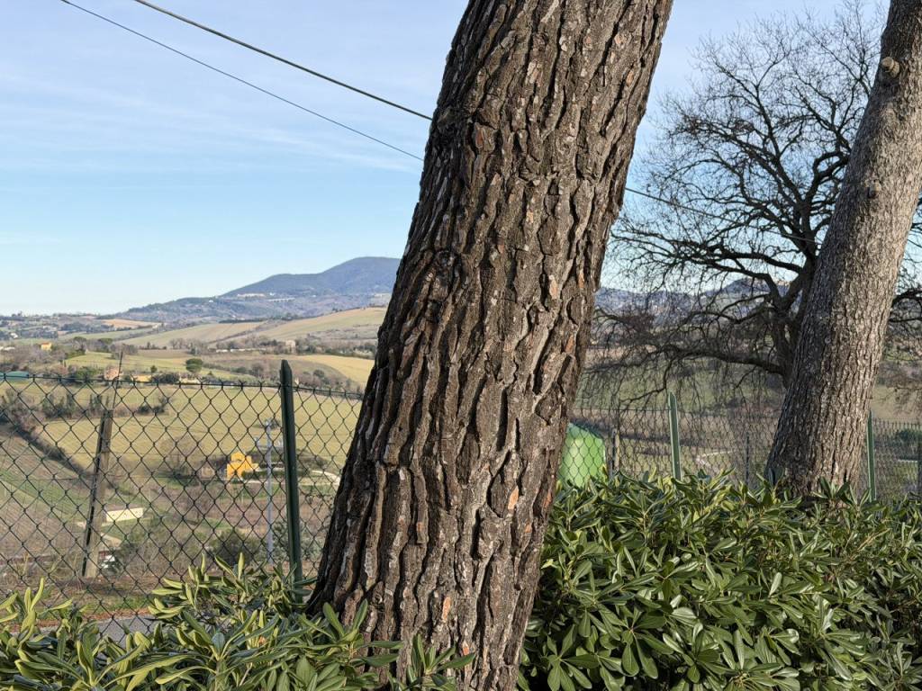 Villa a Ancona in Via Montesicuro 180 - Foto 5