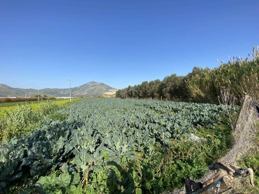 Terreno a Mondragone in Via Stazione - Foto 5