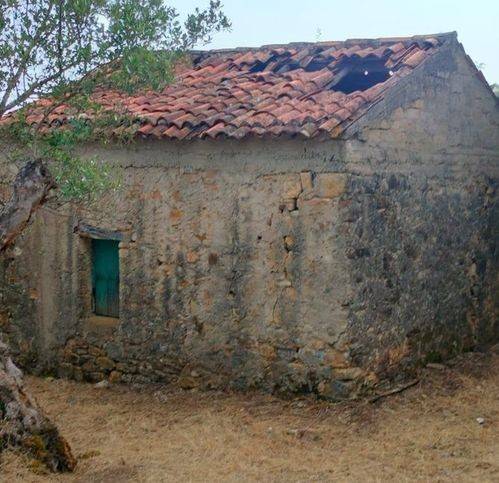 Rustico / casale a Casal velino in Località Starza - Foto 2