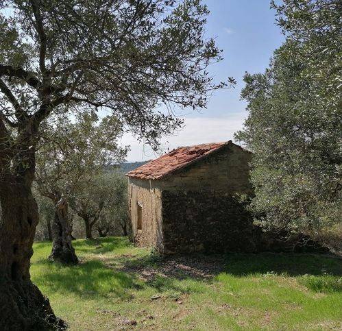 Rustico / casale a Casal velino in Località Starza - Foto 3
