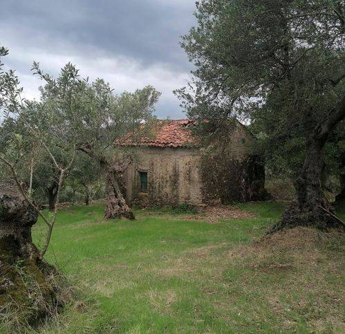 Rustico / casale a Casal velino in Località Starza - Foto 4