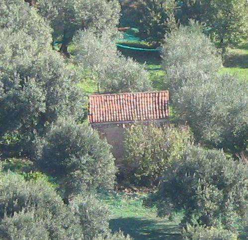 Rustico / casale a Casal velino in Località Starza - Foto 5