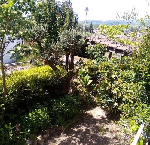 Villetta a schiera a Castelnuovo cilento in Via Chiusa Dei Cerri 1 - Foto 5