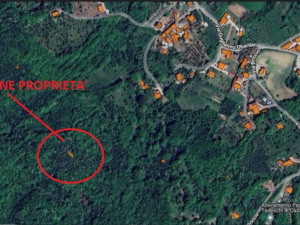 Rustico / casale a Alvignano in Via Guglielmo Oberdan - Foto 2