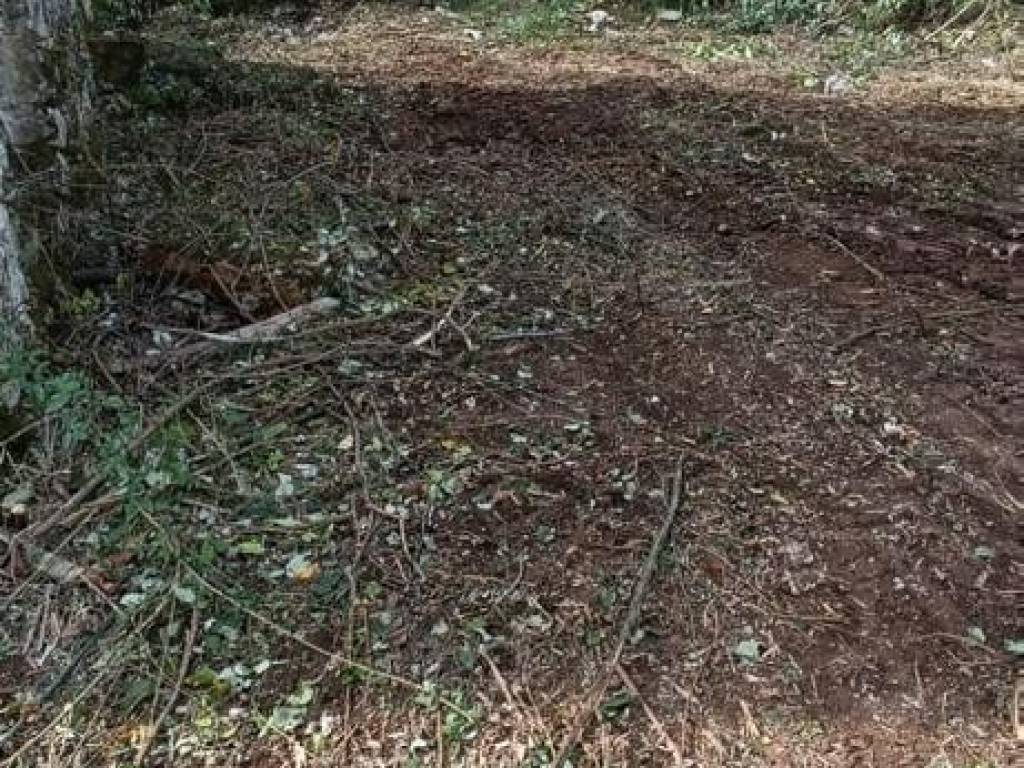 Rustico / casale a Alvignano in Via Guglielmo Oberdan - Foto 3