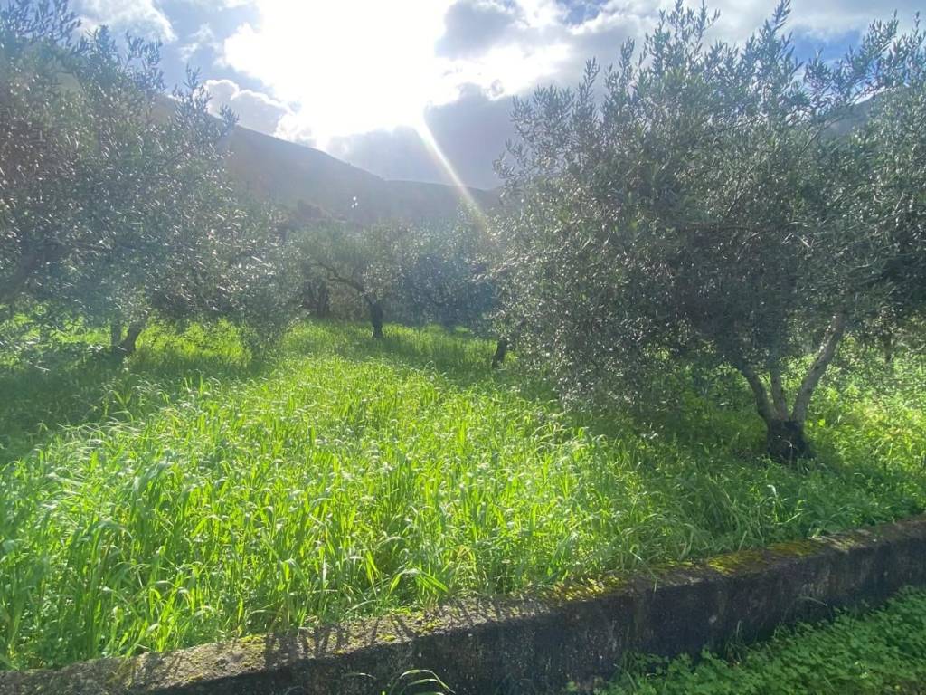 Terreno a Terrasini in Via Cozzo Schinaldi - Foto 4