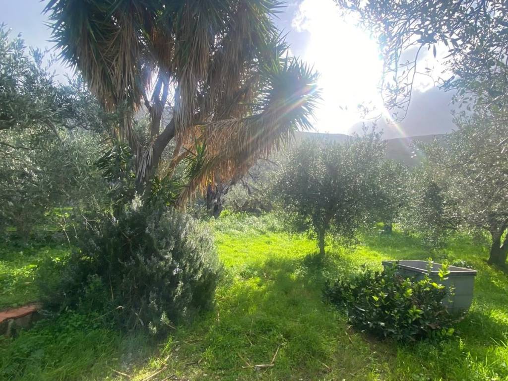 Terreno a Terrasini in Via Cozzo Schinaldi - Foto 5