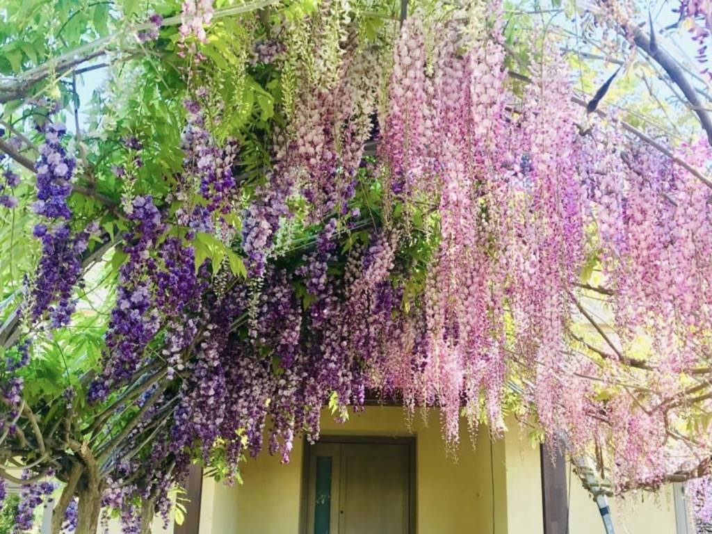 Villa a Otranto in Via Uggiano - Foto 3