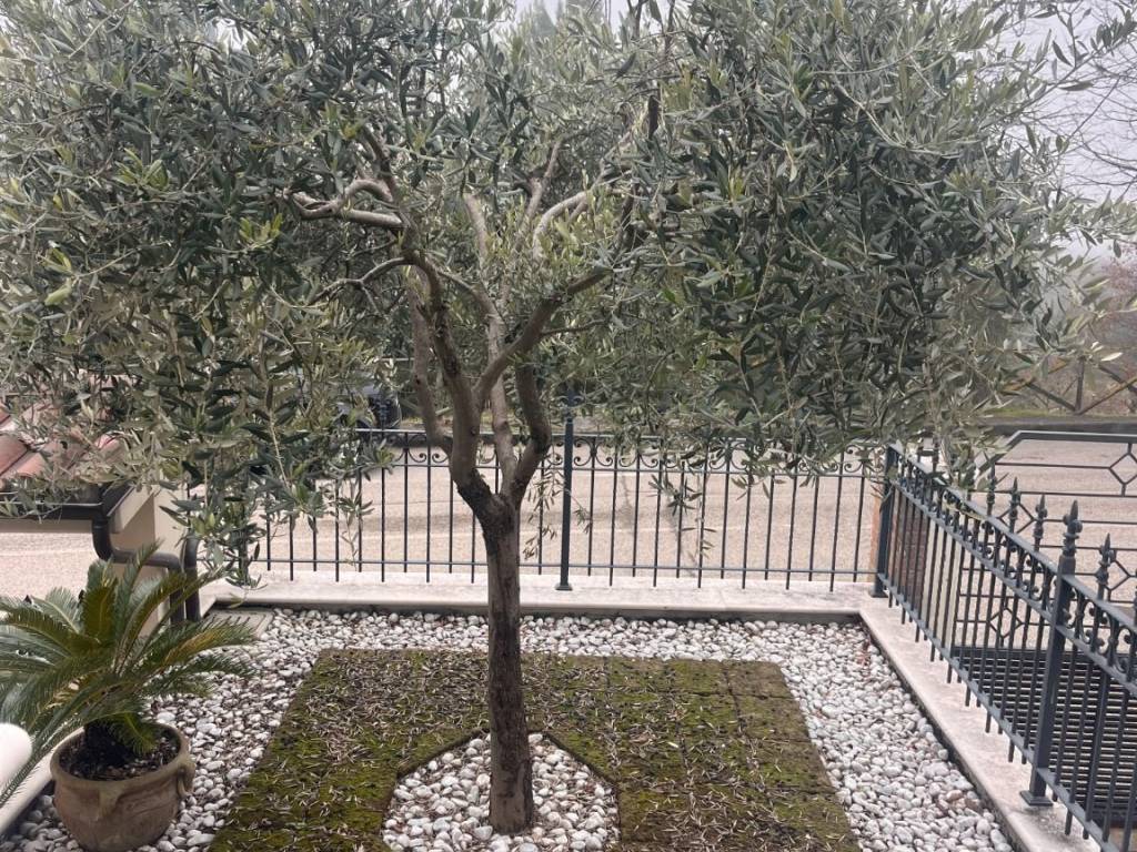Villa a Pesaro in Via dei Girasoli, 19 - Foto 3