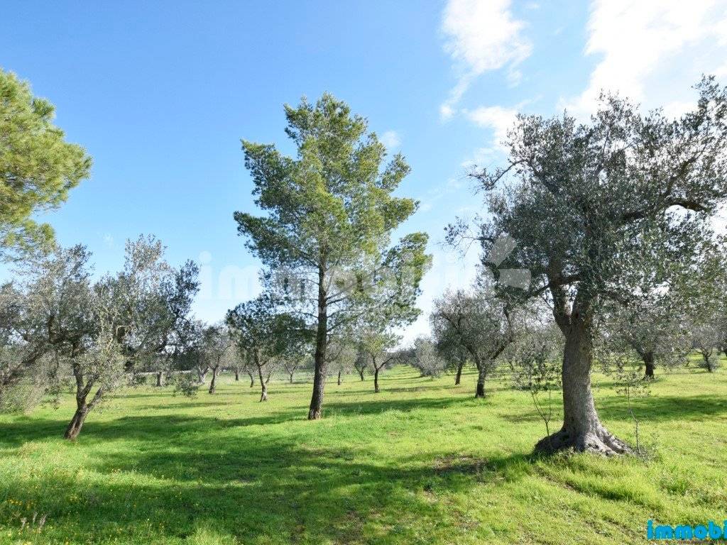Rustico / casale a Oria - Foto 4