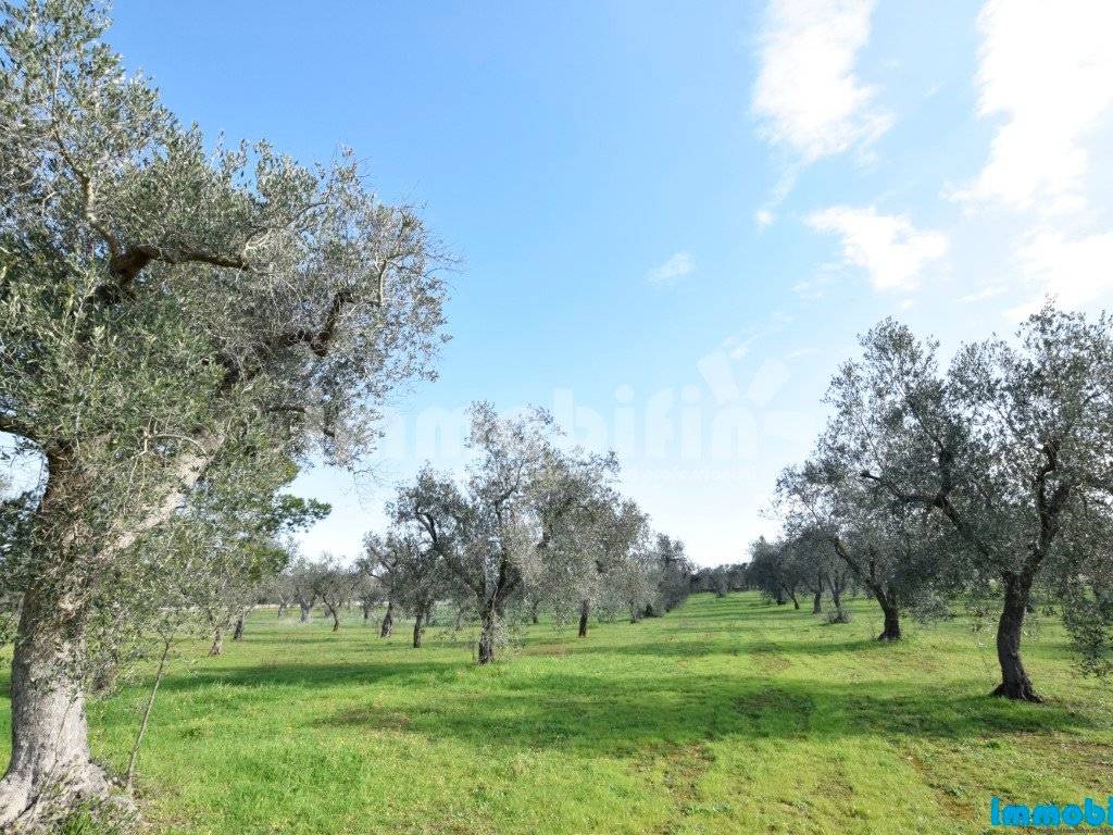 Rustico / casale a Oria - Foto 5