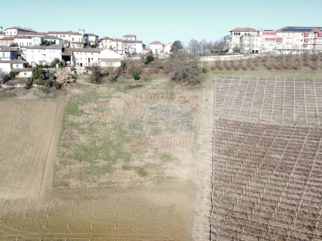Terreno a Castagnole delle lanze in Via Montemaggio - Foto 3