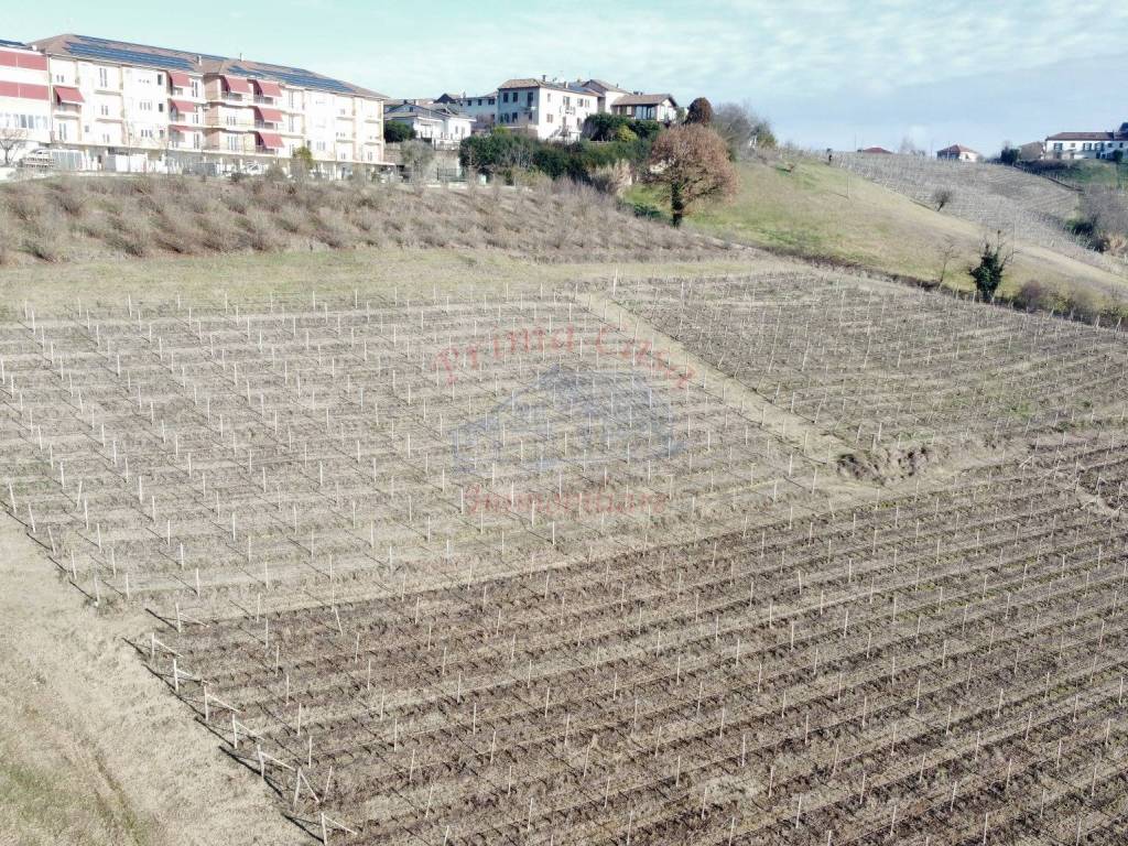 Terreno a Castagnole delle lanze in Via Montemaggio - Foto 4