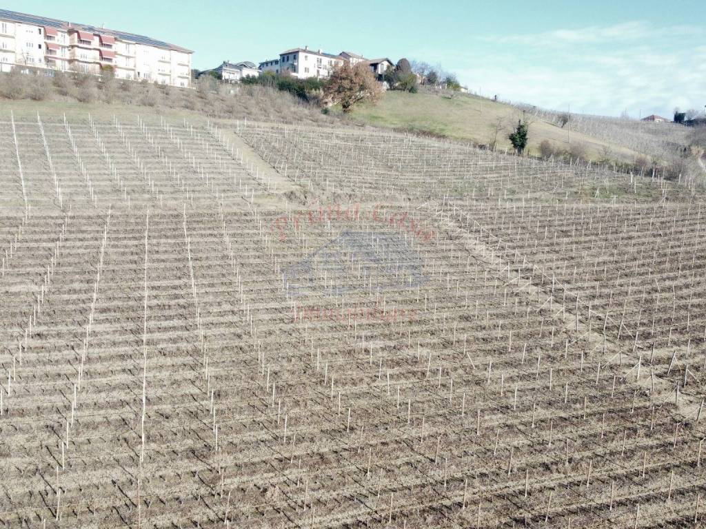 Terreno a Castagnole delle lanze in Via Montemaggio - Foto 5
