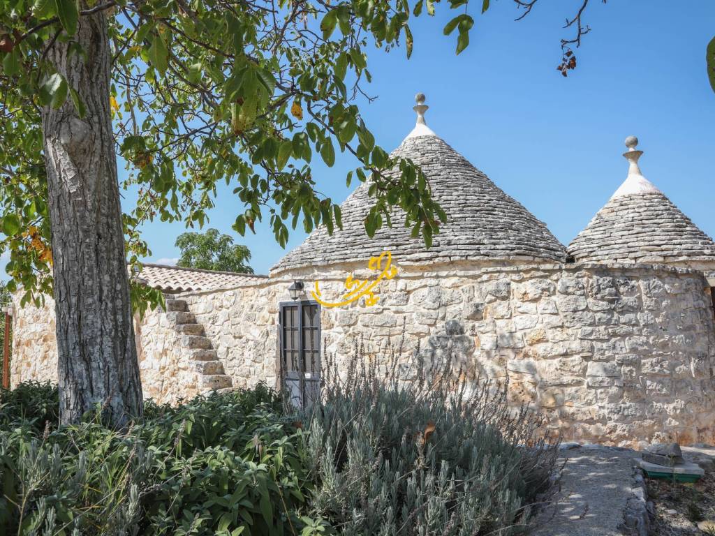 Rustico / casale a Castellana grotte in Strada Comunale Lama D'Inferno - Foto 5