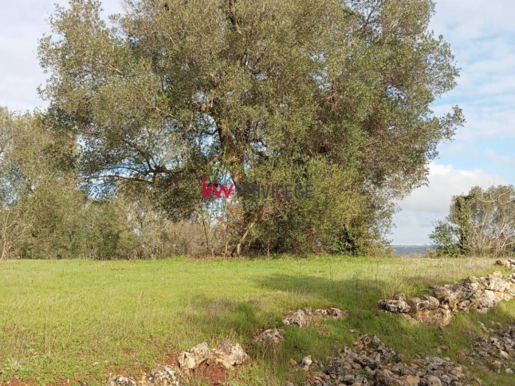 Rustico / casale a Ceglie messapica - Foto 2