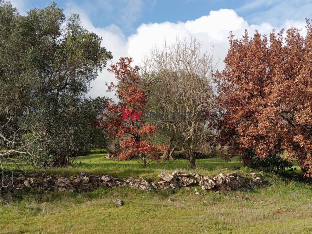Rustico / casale a Ceglie messapica - Foto 3