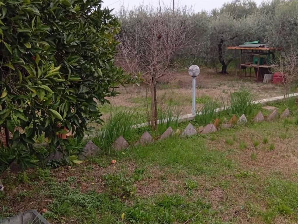 Terreno a Cori - Foto 4