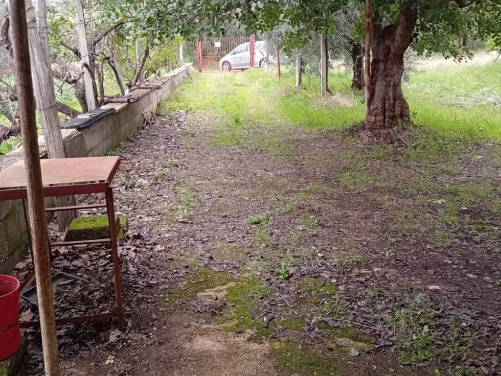 Terreno a Cori - Foto 5