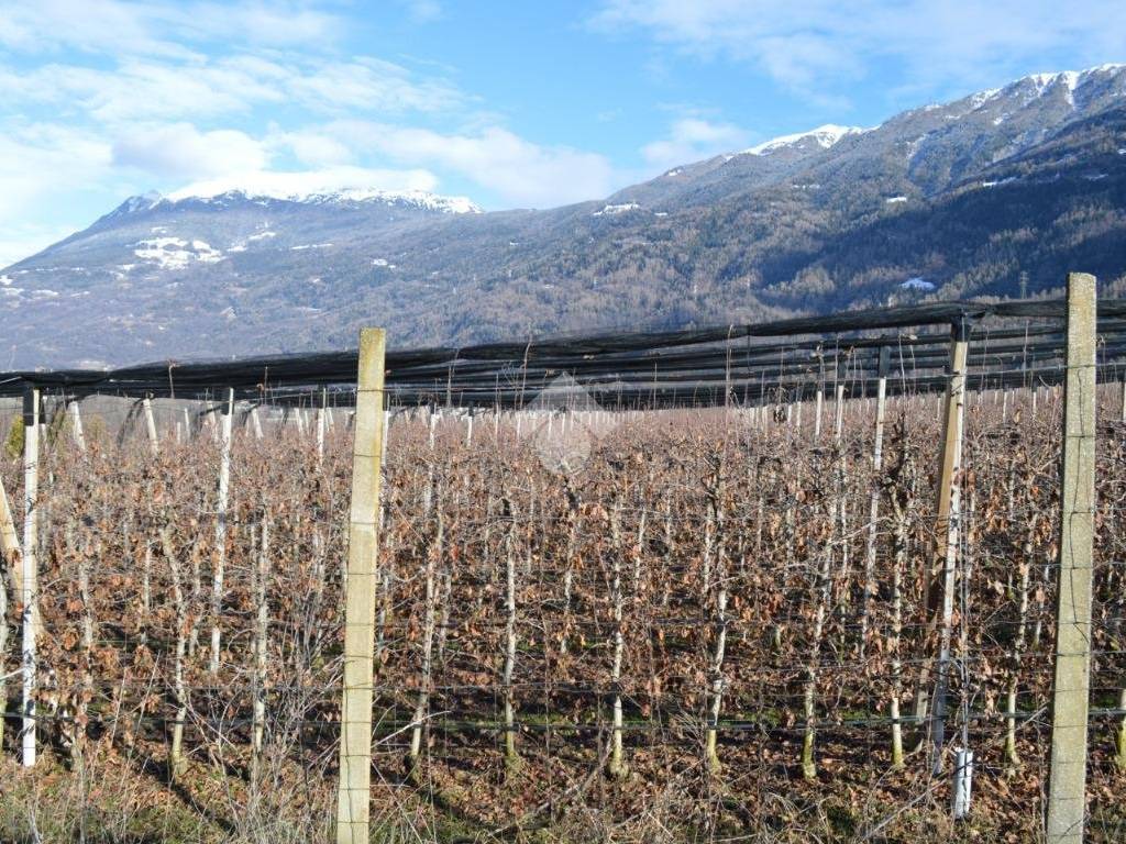 Terreno a Lovero in Via al Santo, 6 - Foto 5