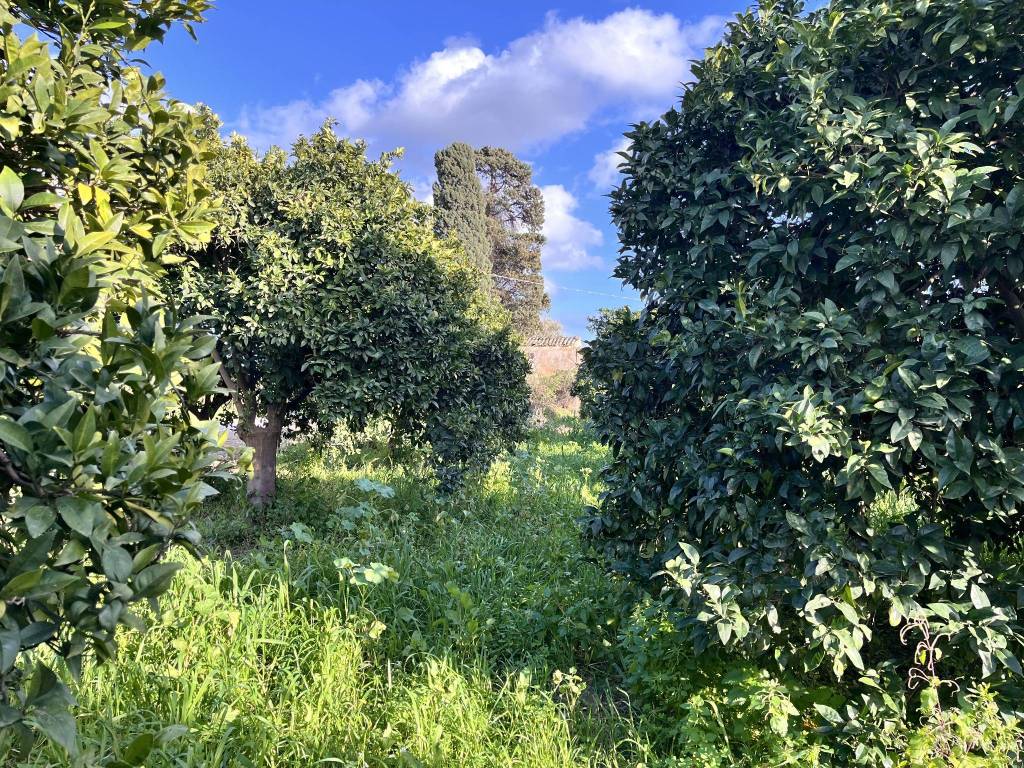 Terreno a Noto in SP56 - Foto 4