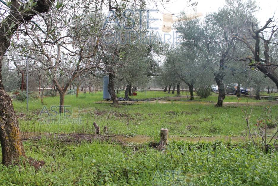 Villa a Corato in Via Torre Nuova - Foto 2