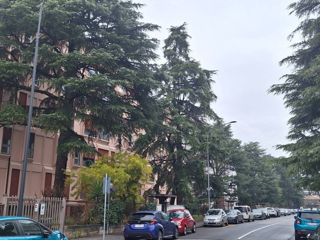 Appartamento a Brescia - Foto 3