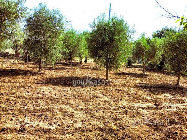 Terreno a Bari - Foto 2