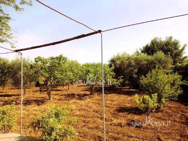Terreno a Bari - Foto 3