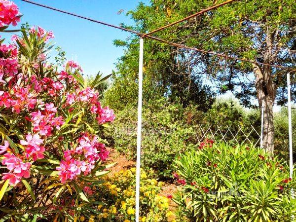 Terreno a Bari - Foto 4
