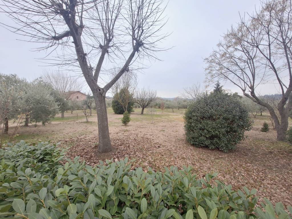 Villa a Rimini in Via Marecchiese - Foto 4
