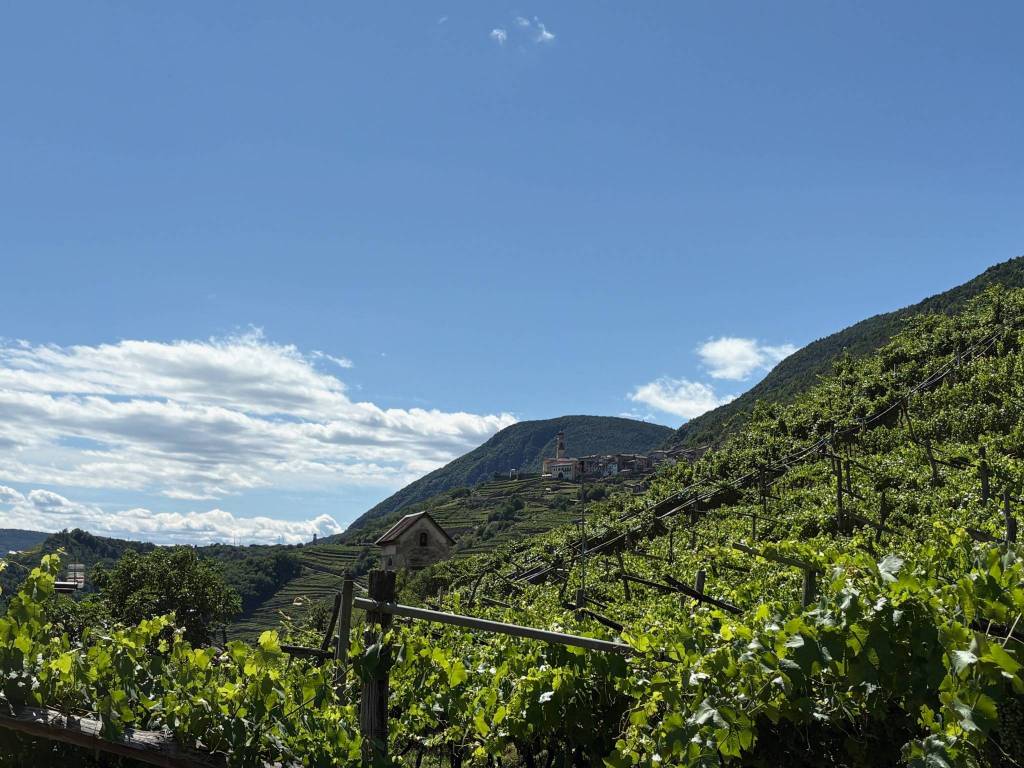 Terreno a Segonzano in Frazione Piazzo, 35 - Foto 2