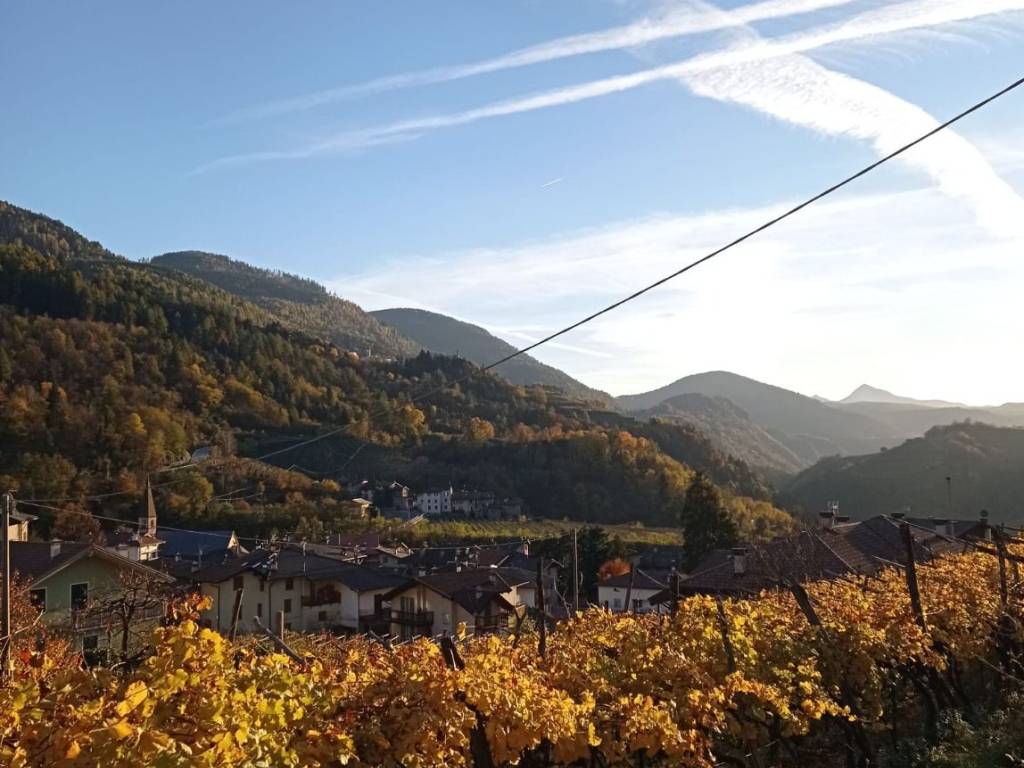 Terreno a Segonzano in Frazione Piazzo, 35 - Foto 5
