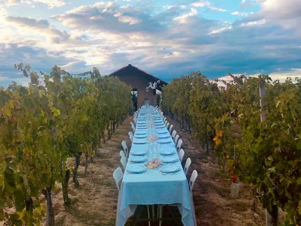 Rustico / casale a Govone - Foto 4