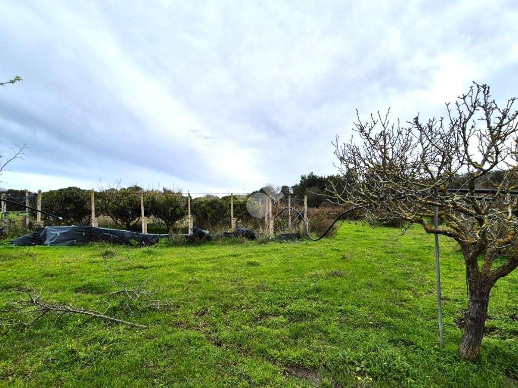 Rustico / casale a Calasetta in LOCALITA' S'ACQUA SA MURTA - Foto 2