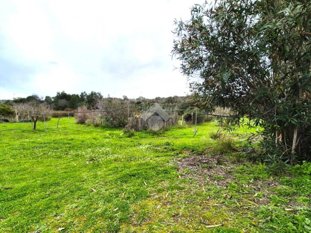Rustico / casale a Calasetta in LOCALITA' S'ACQUA SA MURTA - Foto 4