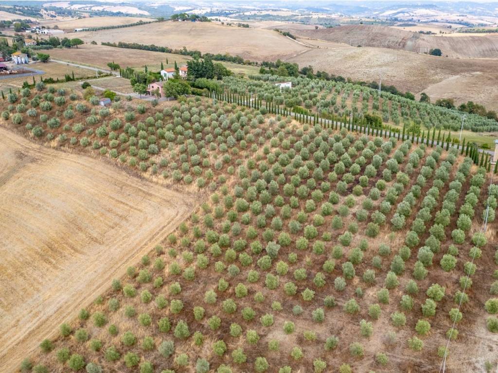 Villa a Scansano in Strada Comunale delle Torricelle - Foto 5