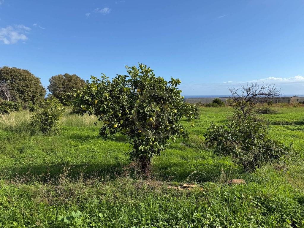 Terreno a Giarre in via Ugo Foscolo - Foto 5